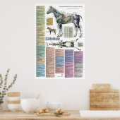 Paardenpaardenacupunctie diergeneeskunde poster (Keuken)