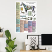 Paardenpaardenacupunctie diergeneeskunde poster (Thuiskantoor)