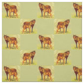 paardenpaardje stof (Swatch)