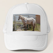 Paardenpaardje Trucker Pet (Voorkant)