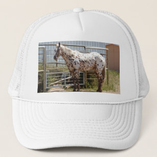 Paardenpaardje Trucker Pet