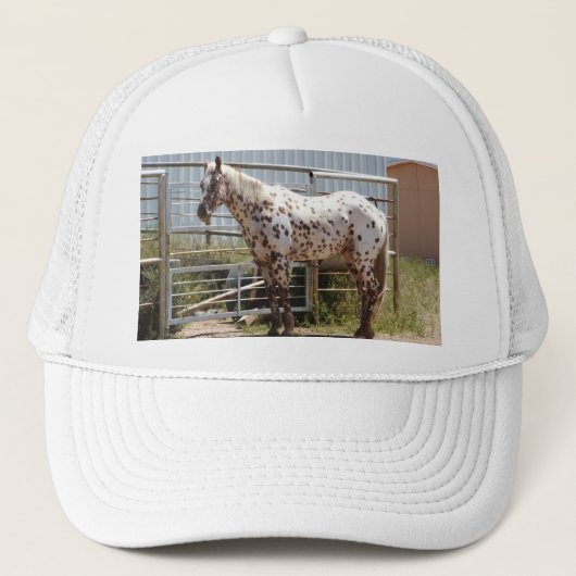 Paardenpaardje Trucker Pet (Voorkant)
