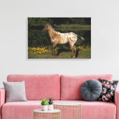 Paardenpaardje van Appaloosa Canvas Afdruk (Insitu (Woonkamer))