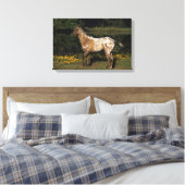 Paardenpaardje van Appaloosa Canvas Afdruk (Insitu (Slaapkamer))