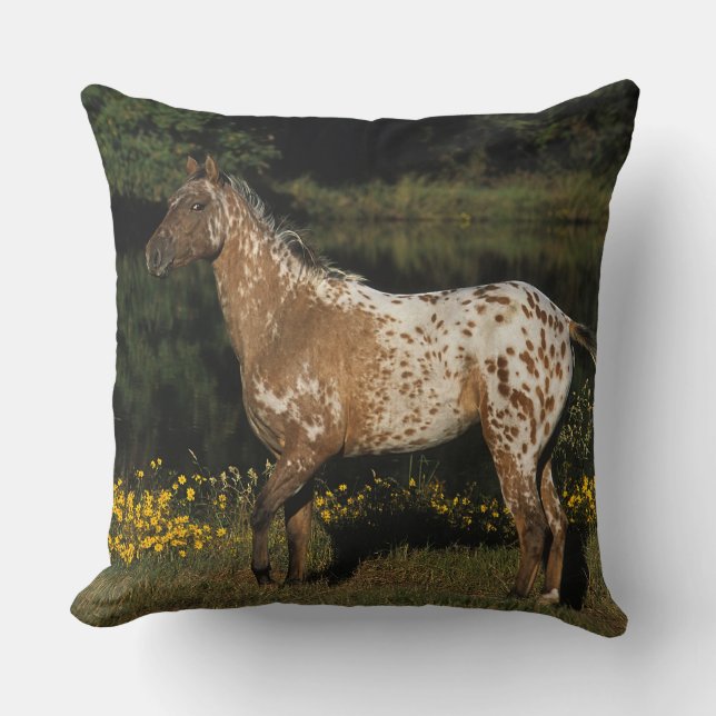 Paardenpaardje van Appaloosa Kussen (Voorkant)