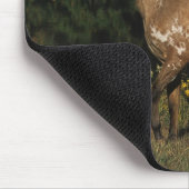 Paardenpaardje van Appaloosa Muismat (Hoek)