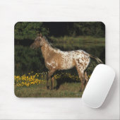 Paardenpaardje van Appaloosa Muismat (Met muis)