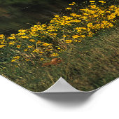 Paardenpaardje van Appaloosa Poster (Hoek)