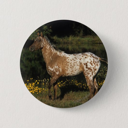 Paardenpaardje van Appaloosa Ronde Button 5,7 Cm (Voorkant)