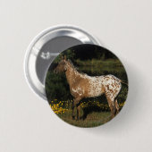 Paardenpaardje van Appaloosa Ronde Button 5,7 Cm (Voorkant /achterkant)