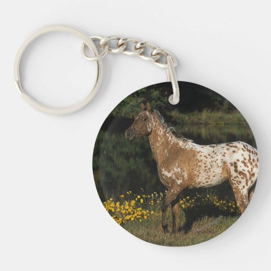 Paardenpaardje van Appaloosa Sleutelhanger (Voorkant)