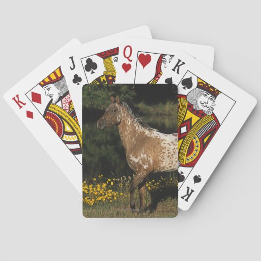 Paardenpaardje van Appaloosa Speelkaarten (Achterkant)