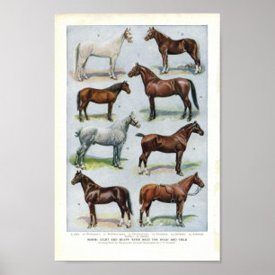  paardenpapier, 1908 Edwardian Briet Poster
