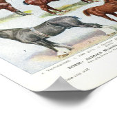 paardenpapier, 1908 Edwardian Briet Poster (Hoek)