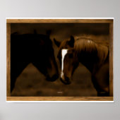 paardenparaten poster (Voorkant)