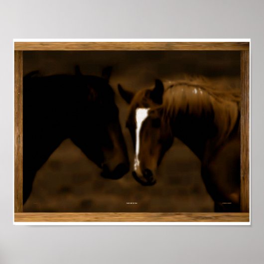 paardenparaten poster (Voorkant)