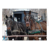 Paardenparkeren (Voorkant Horizontaal)