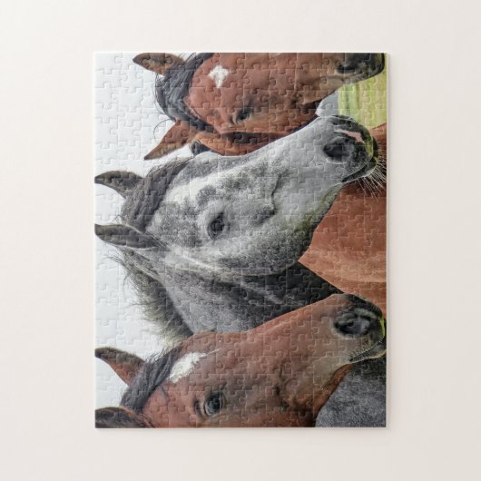 paardenpest legpuzzel (Verticaal)