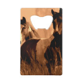 Paardenpitten Creditkaart Flessenopener (Voorkant)