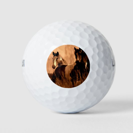 Paardenpitten Golfballen (Voorkant)