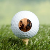 Paardenpitten Golfballen (Insitu Shirt)