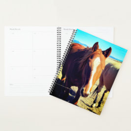 Paardenplank Planner