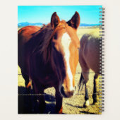 Paardenplank Planner (Achterkant)