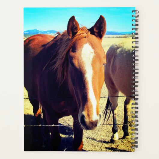 Paardenplank Planner (Achterkant)