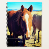 Paardenplank Planner (Voorkant)