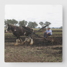 paardenploeg
