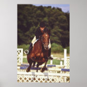 Paardenpompwedstrijd - poster (Voorkant)