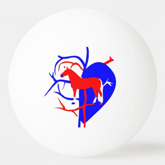 Paardenpongbal Pingpongbal (Voorkant)