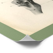 Paardenpoot Botten Aansluitingen Veterinaire Anato Poster (Hoek)