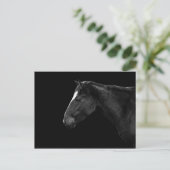 Paardenportret Briefkaart (Staand voorkant)