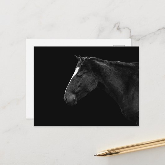 Paardenportret Briefkaart (Voorkant / Achterkant in situ)