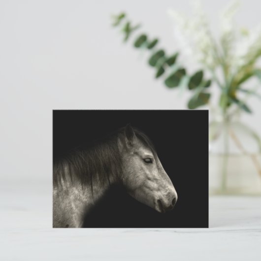 Paardenportret Briefkaart (Staand voorkant)