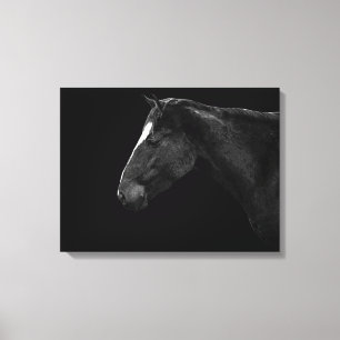 Paardenportret Canvas Afdruk