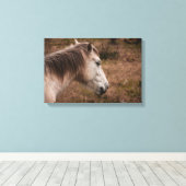 Paardenportret Canvas Afdruk (Insitu (Houten vloer))