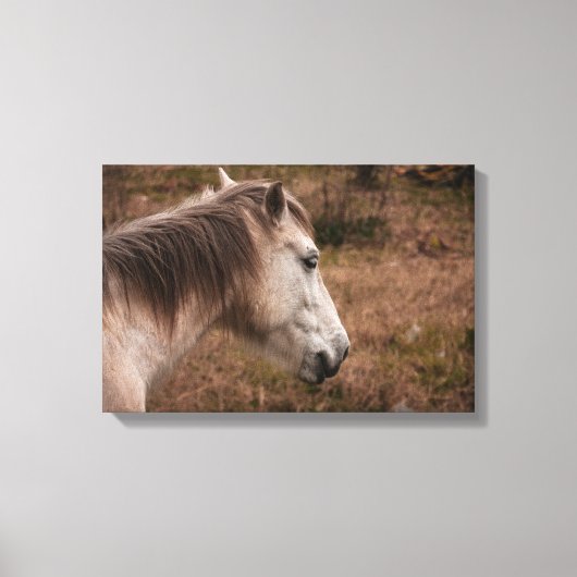 Paardenportret Canvas Afdruk (Voorkant)