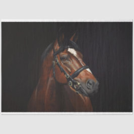 Paardenportret Ephemera Decoupage Vintage Tissuepapier