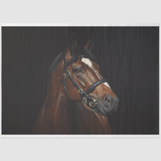 Paardenportret Ephemera Decoupage Vintage Tissuepapier (Voorkant)