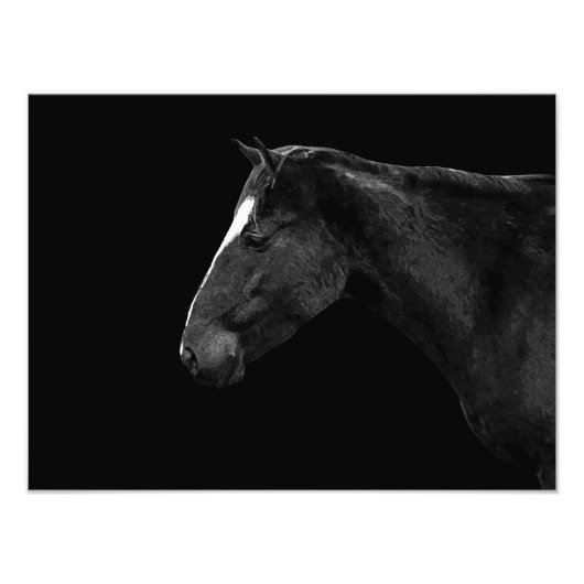Paardenportret Foto Afdruk (Voorkant)