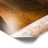 Paardenportret foto afdrukken (Hoek)