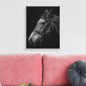 Paardenportret Foto op zwart Canvas Afdruk (Insitu (Woonkamer))
