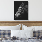 Paardenportret Foto op zwart Canvas Afdruk (Insitu (Slaapkamer))