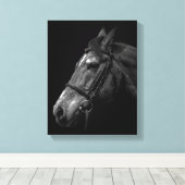Paardenportret Foto op zwart Canvas Afdruk (Insitu (Houten vloer))