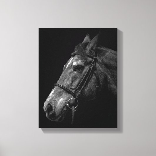 Paardenportret Foto op zwart Canvas Afdruk (Voorkant)