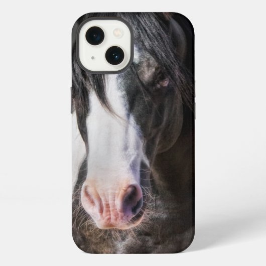 Paardenportret II iPhone Hoesje (Achterkant)