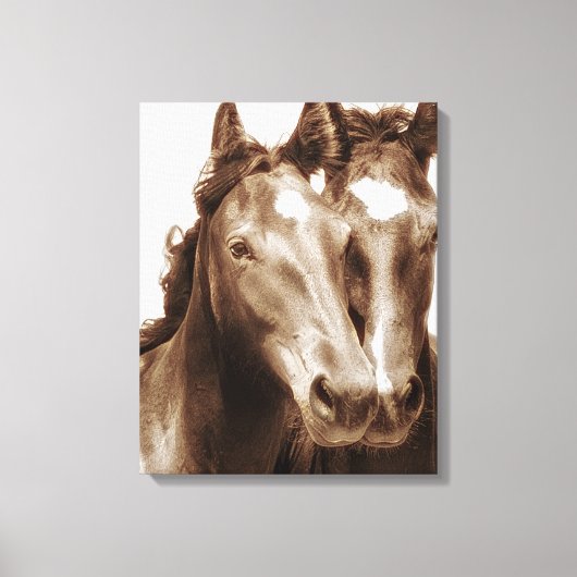 Paardenportret III Canvas Afdruk (Voorkant)