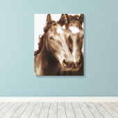 Paardenportret III Canvas Afdruk (Insitu (Houten vloer))